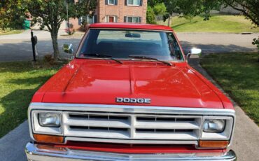 Dodge-d-series-d150-s-1990-red-8
