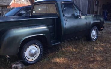 Dodge-d100-1972-green-6