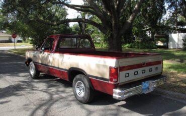Dodge-d150-le-12-ton-1992-1