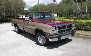 Dodge-d150-le-12-ton-1992-11