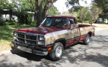 Dodge-d150-le-12-ton-1992-3