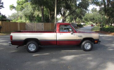 Dodge-d150-le-12-ton-1992-4