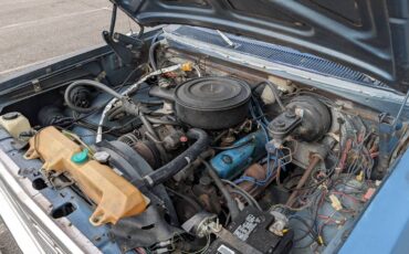 Dodge-d200-1979-blue-7