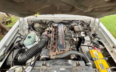 Dodge-d250-diesel-1993-5