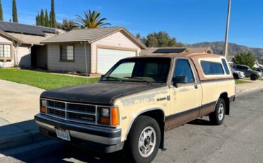 Dodge-dakota-1987-brown-1