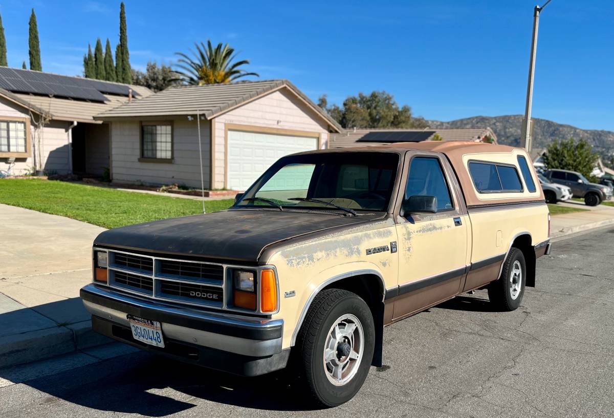 Dodge-dakota-1987-brown-1