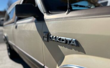 Dodge-dakota-1987-brown-13