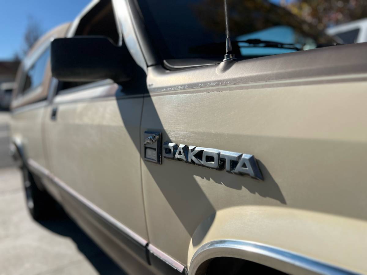 Dodge-dakota-1987-brown-13