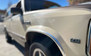 Dodge-dakota-1987-brown-14