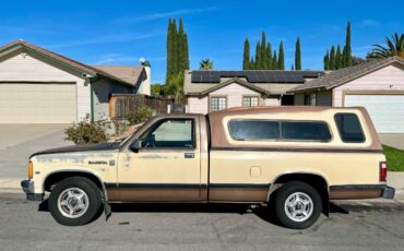 Dodge-dakota-1987-brown-2