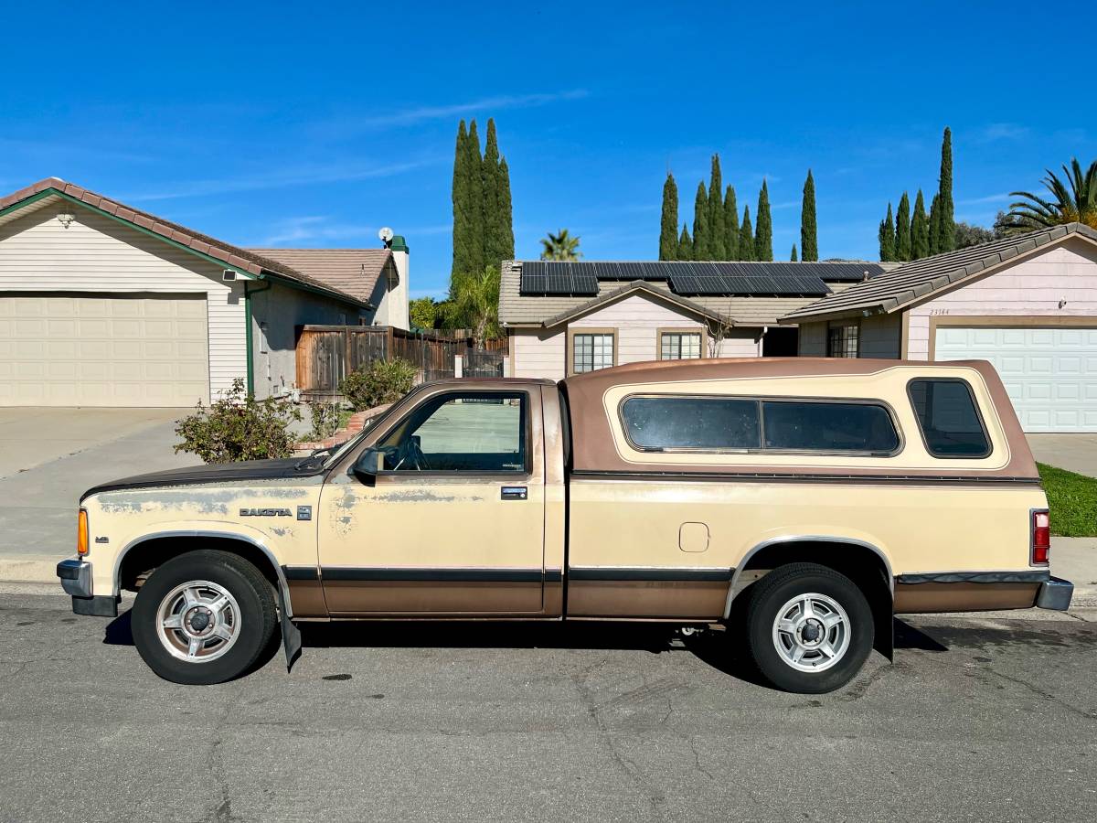 Dodge-dakota-1987-brown-2