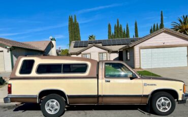 Dodge-dakota-1987-brown-3