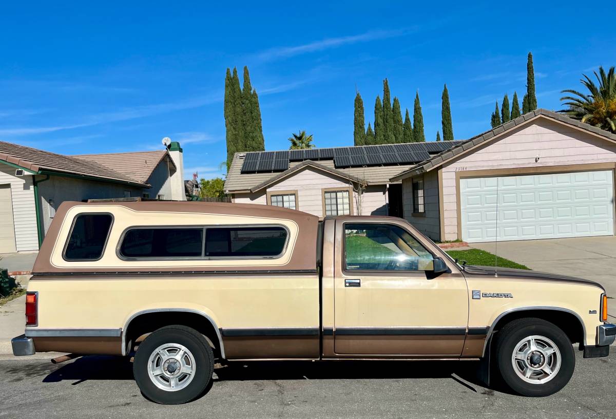 Dodge-dakota-1987-brown-3