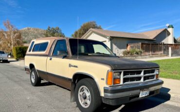 Dodge-dakota-1987-brown