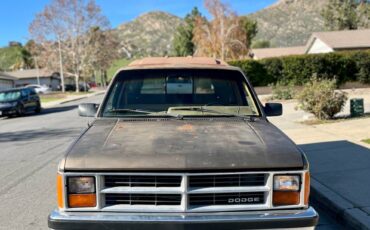 Dodge-dakota-1987-brown-4