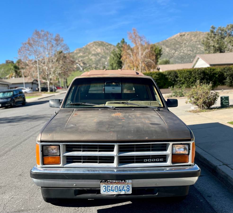 Dodge-dakota-1987-brown-4