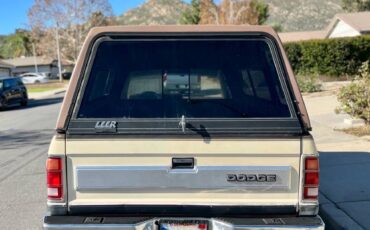 Dodge-dakota-1987-brown-5