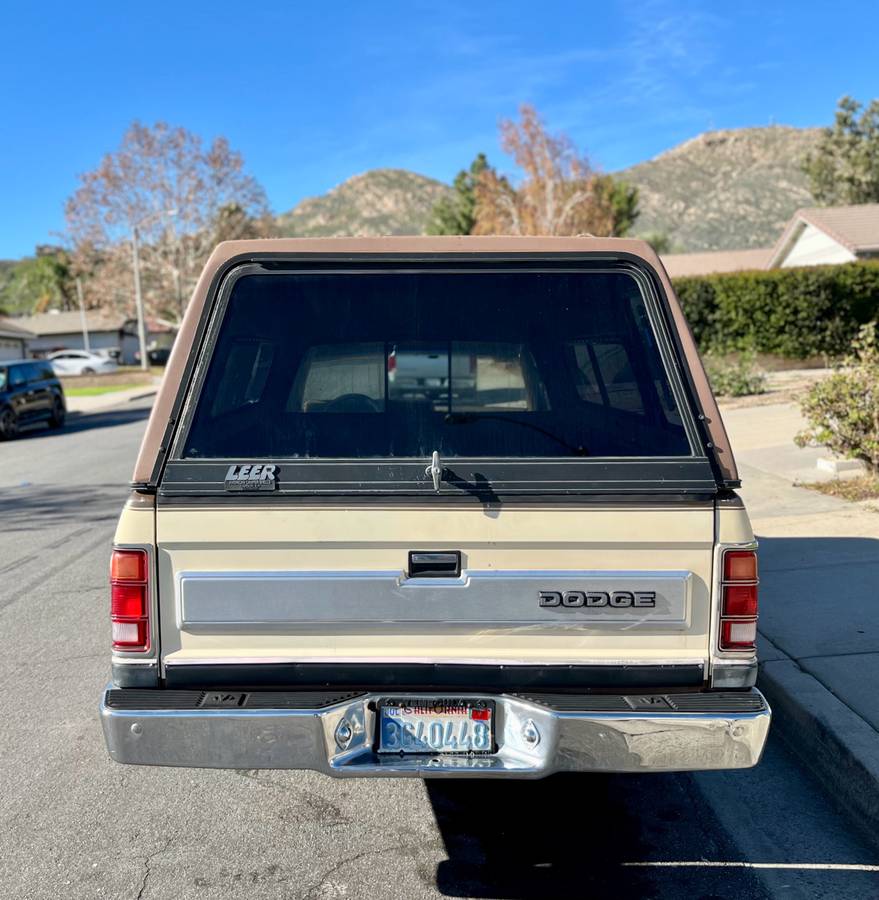 Dodge-dakota-1987-brown-5