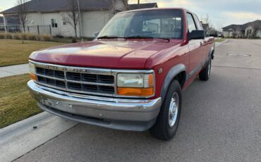 Dodge-dakota-1991-red-1