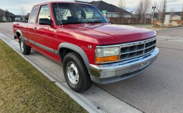 Dodge-dakota-1991-red-2