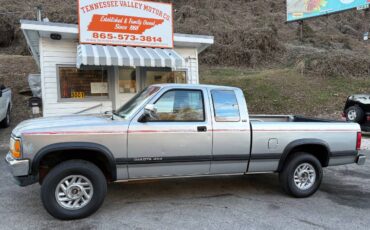Dodge-dakota-sportslt-1993-silver-2