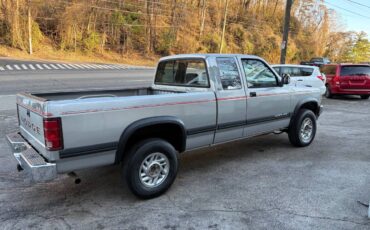 Dodge-dakota-sportslt-1993-silver-6