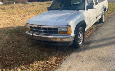 Dodge-dakotaram-pick-up-truck.-it-has-to-fal-1996-white-11