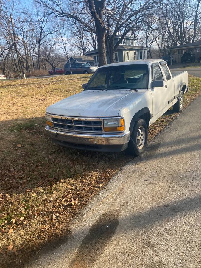 Dodge-dakotaram-pick-up-truck.-it-has-to-fal-1996-white-11