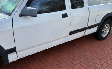 Dodge-dakotaram-pick-up-truck.-it-has-to-fal-1996-white-2