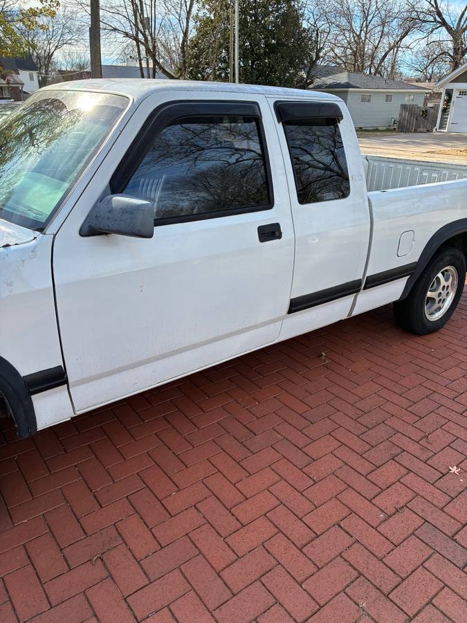 Dodge-dakotaram-pick-up-truck.-it-has-to-fal-1996-white-2