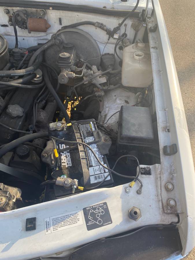 Dodge-dakotaram-pick-up-truck.-it-has-to-fal-1996-white-22