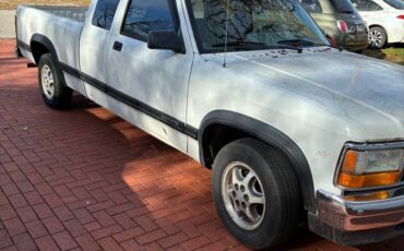 Dodge-dakotaram-pick-up-truck.-it-has-to-fal-1996-white