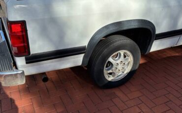 Dodge-dakotaram-pick-up-truck.-it-has-to-fal-1996-white-6
