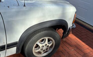 Dodge-dakotaram-pick-up-truck.-it-has-to-fal-1996-white-7