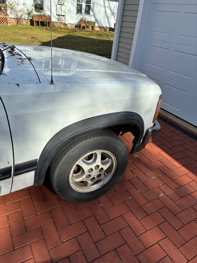 Dodge-dakotaram-pick-up-truck.-it-has-to-fal-1996-white-7