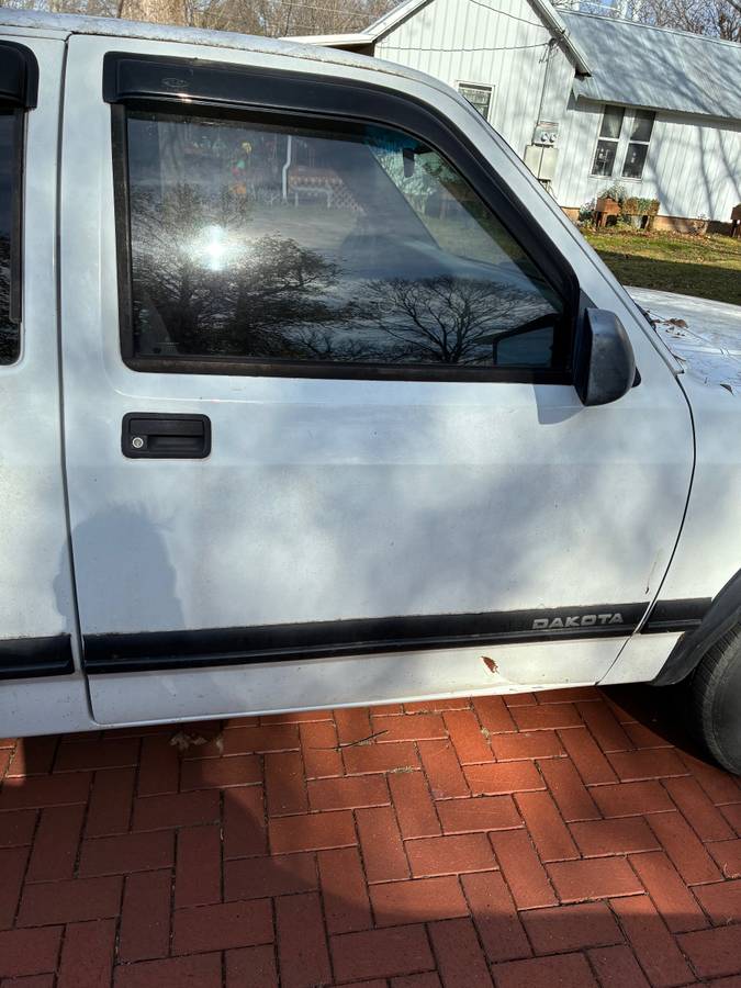 Dodge-dakotaram-pick-up-truck.-it-has-to-fal-1996-white-8