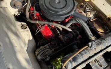 Dodge-dart-gt-v8-1965-4