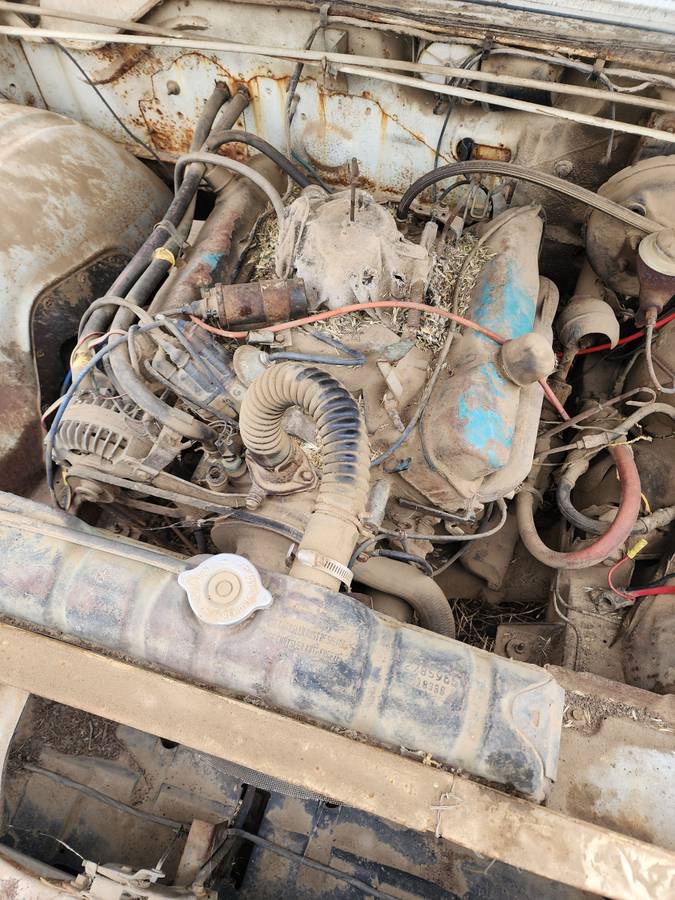 Dodge-new-port-1966-white-6