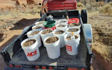 Dodge-power-ram-w-250-1991-red-8