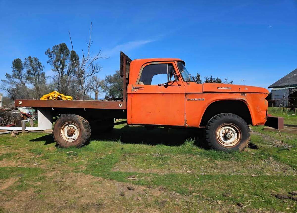 Dodge-power-wagon-1964-orange-1