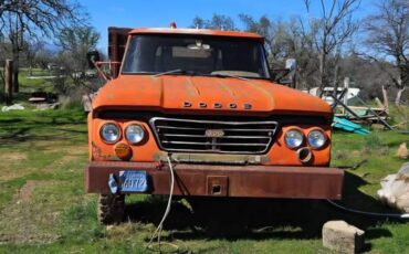 Dodge-power-wagon-1964-orange