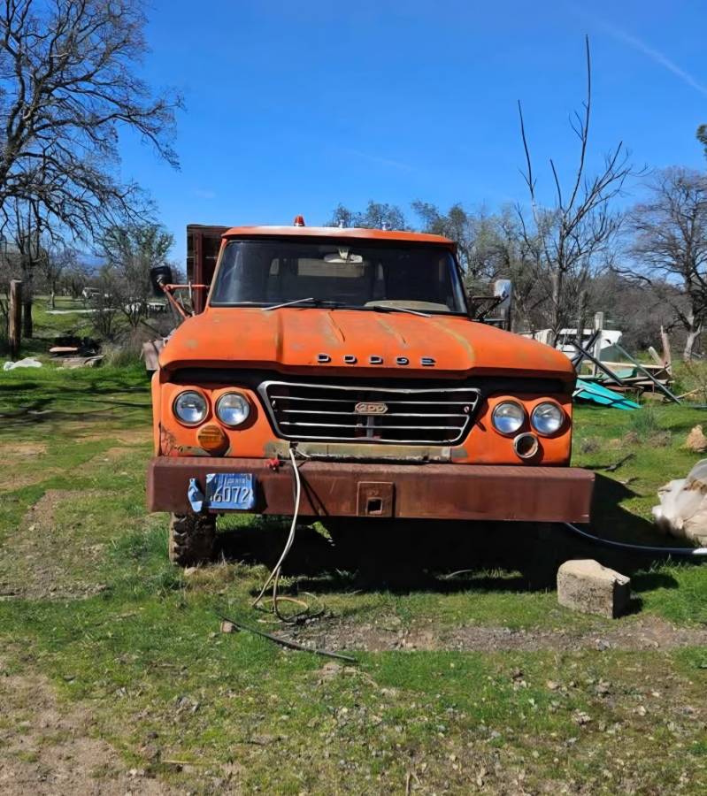Dodge-power-wagon-1964-orange