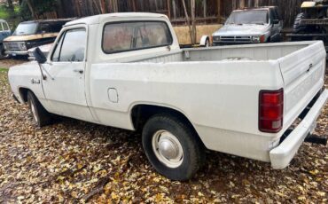 Dodge-ram-1500-1981-1