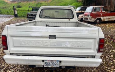 Dodge-ram-1500-1981-10