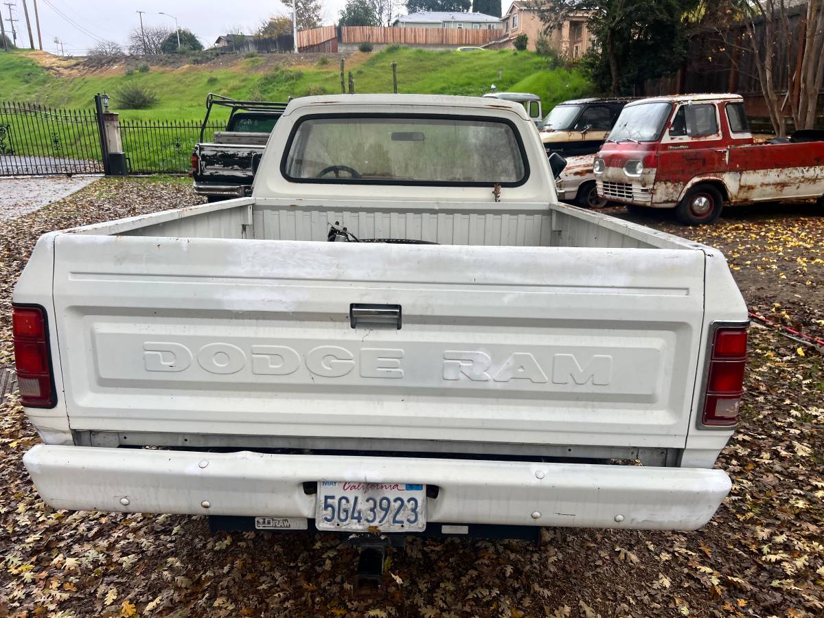 Dodge-ram-1500-1981-10