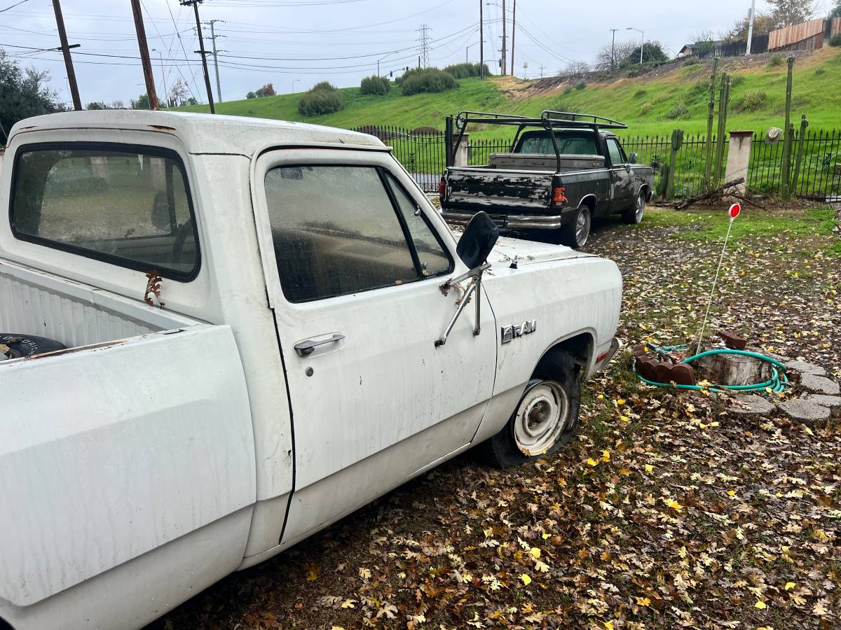 Dodge-ram-1500-1981-11
