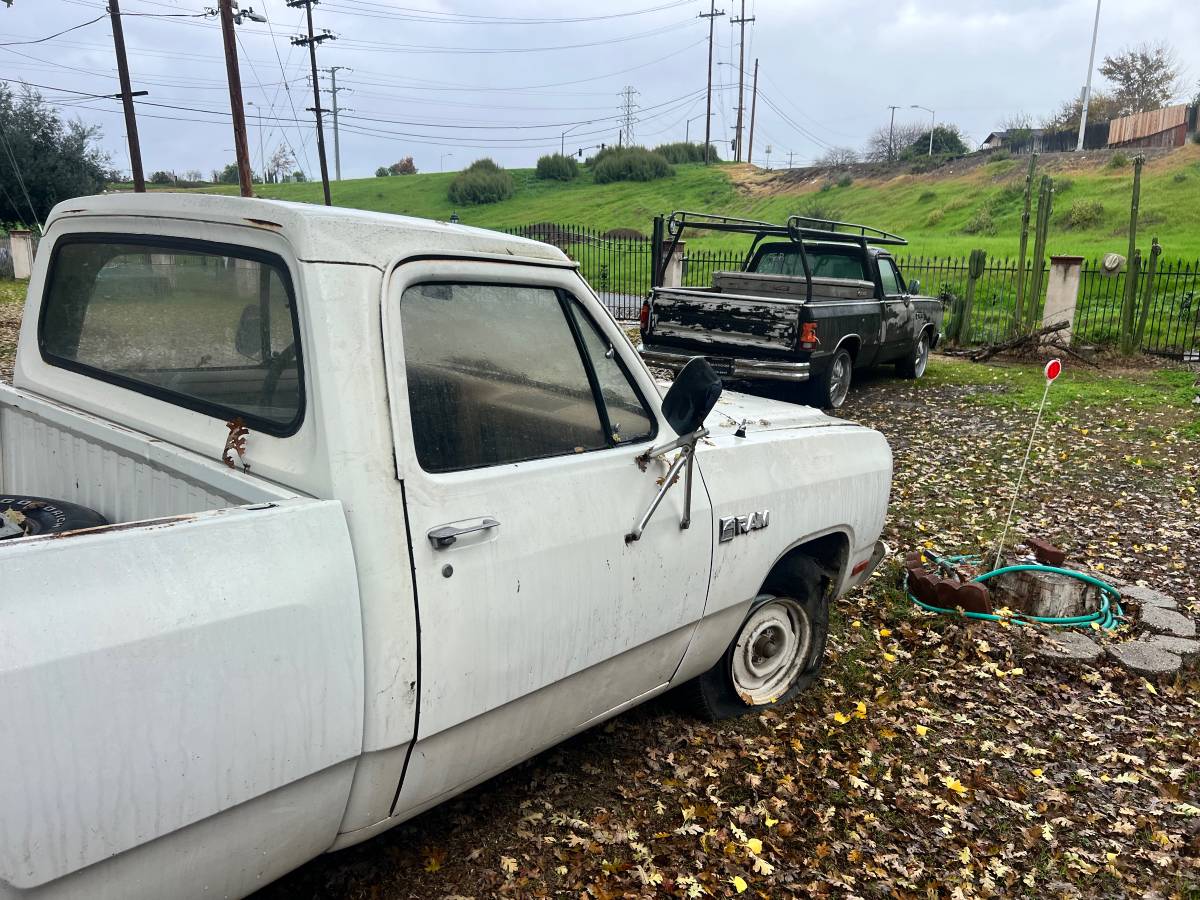 Dodge-ram-1500-1981-2