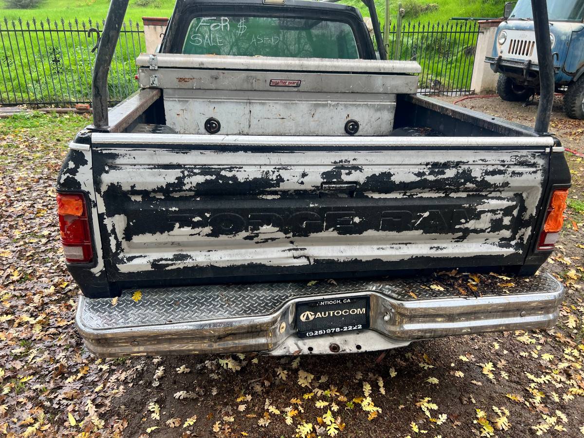 Dodge-ram-1500-1981-7