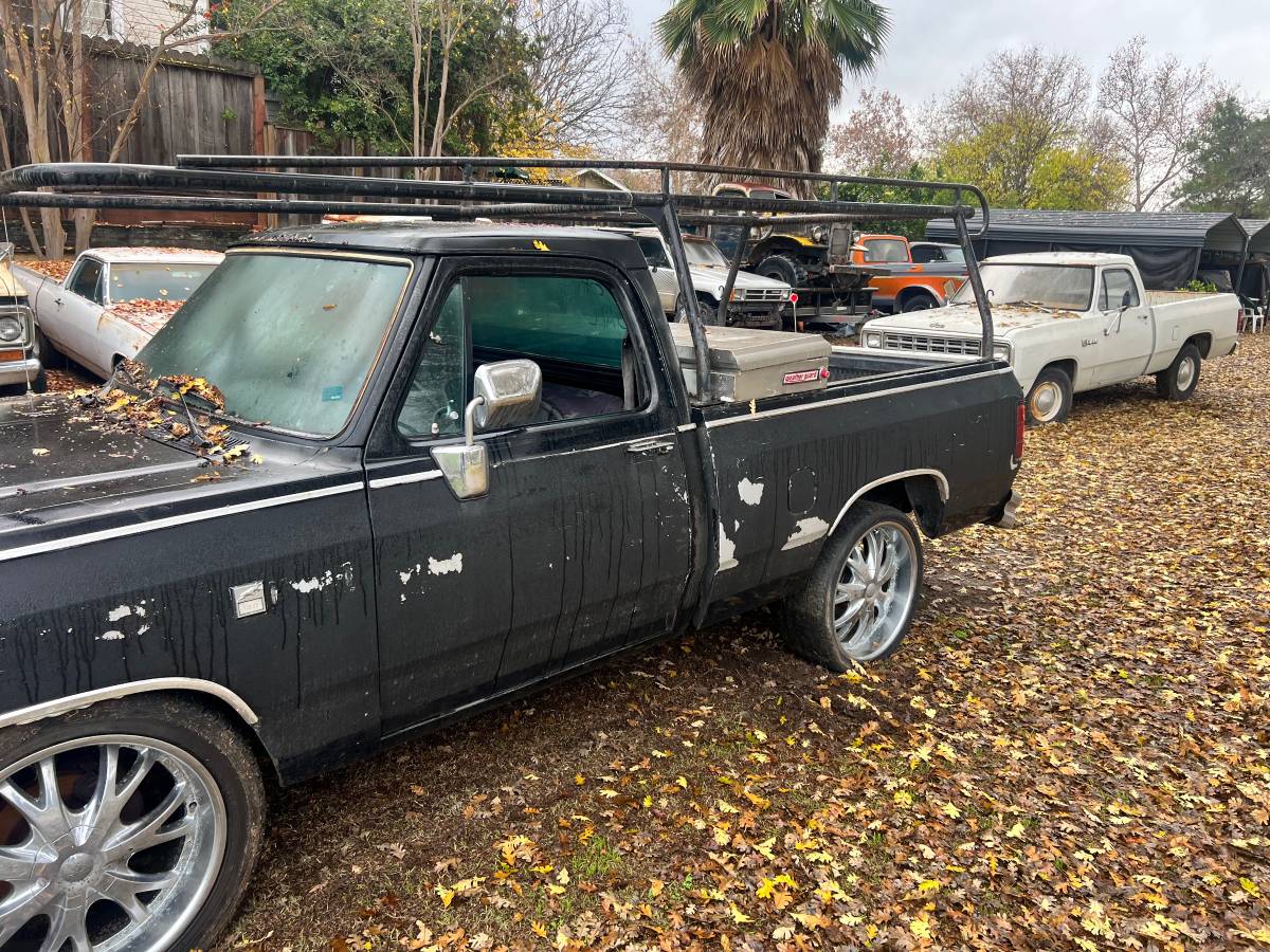 Dodge-ram-1500-1981-8