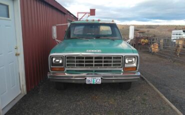 Dodge-ram-3500-1985-green-2